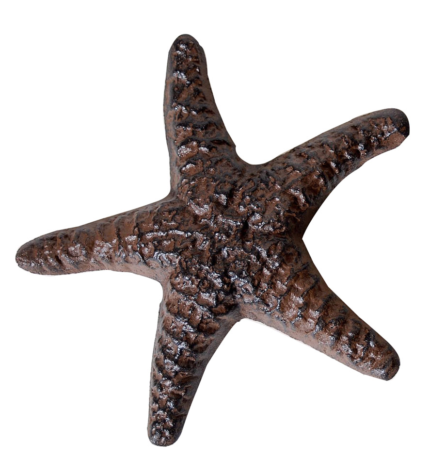 Αστερίας Σιδερένιος Διακοσμητικός 1647 CAS1/647 Αστερίας Σιδερένιος Διακοσμητικός 1647 CAS1/647